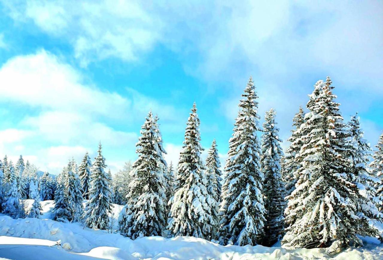 Apartamento Jahorina 7Lux Exterior foto